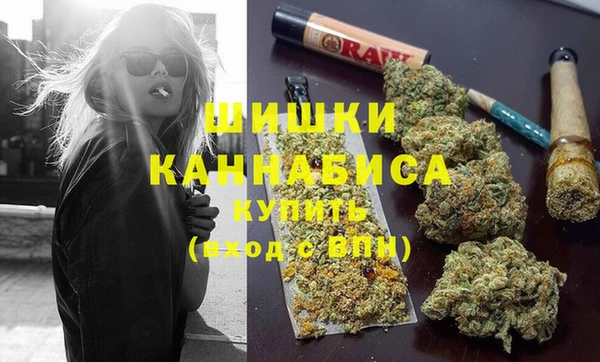 первитин Богданович
