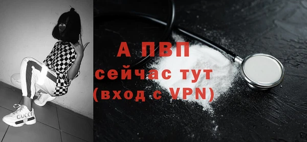 первитин Богданович