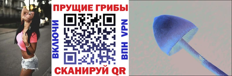 Псилоцибиновые грибы Psilocybe купить наркотик Плёс