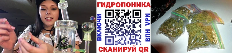Каннабис ГИДРОПОН  Плёс 